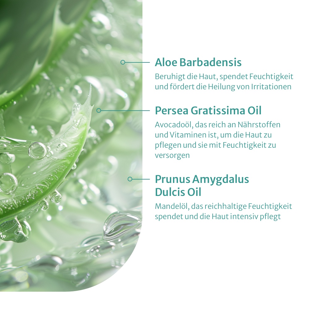 Aloe Vera Nachtcreme